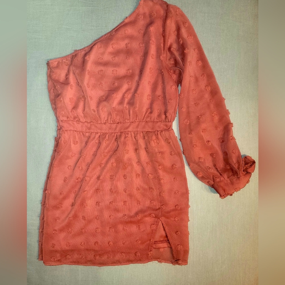 Elegant One Shoulder Dress in Terracotta